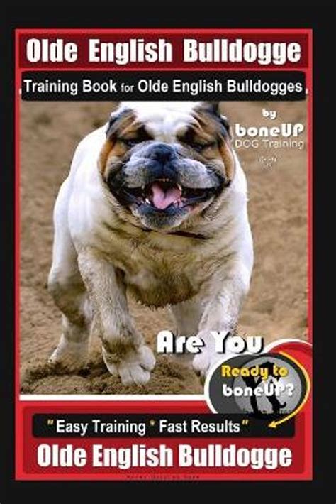 olde english bulldogge puppy training